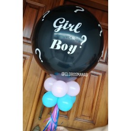 Revelación del sexo